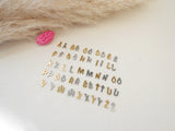 Pendentif Mini Initiale